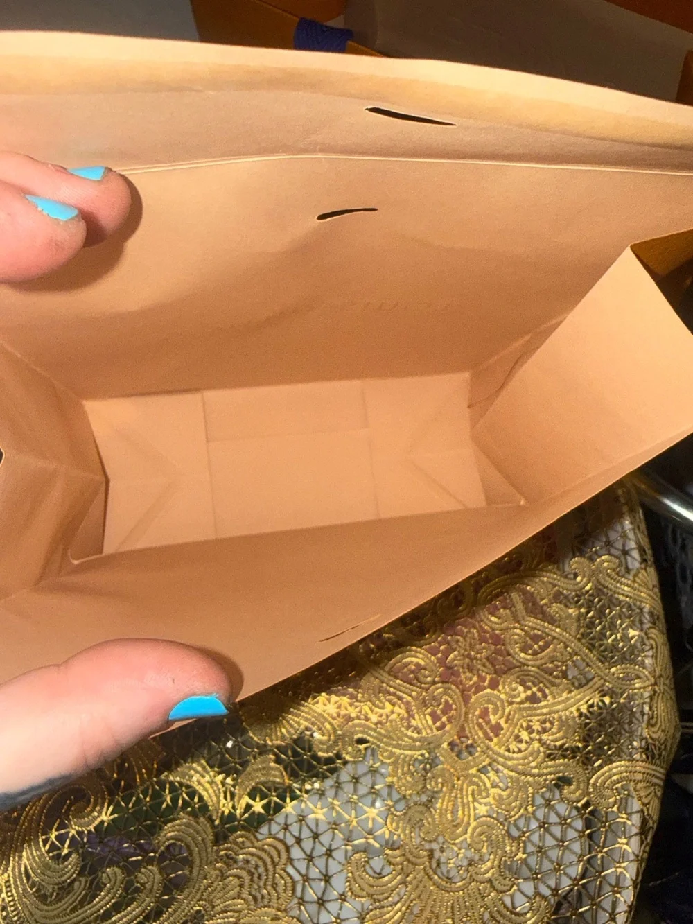Brand New Authentic Louis Vuitton *Empty* Shopping Bags